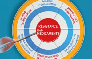 world-healt-day-fr-2011